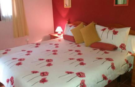 Rural Arco Iris - Foto 42