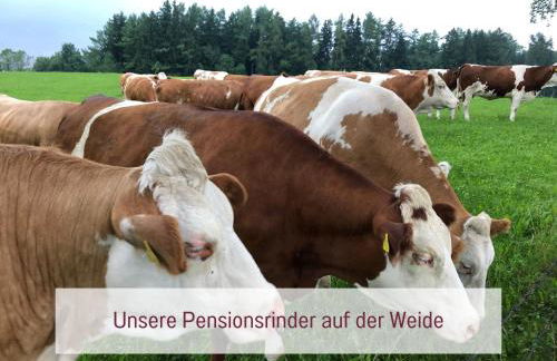 Designerwohnungen "Beim Schmied" in Chiemseenähe - Photo 35