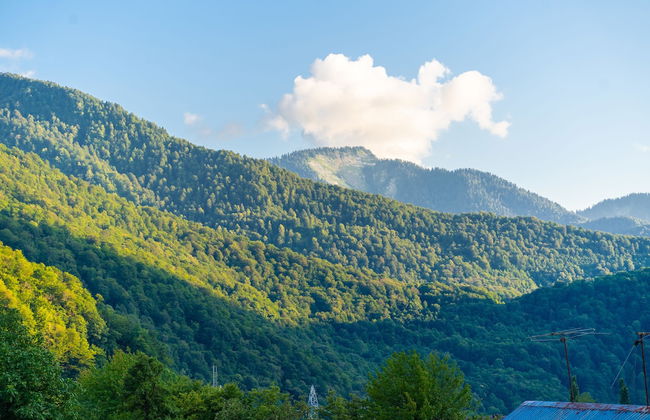 More Apartments na GES 5 - 3 - Foto 26