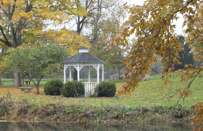 Montrose Farms Alpaca Ranch - Foto 21