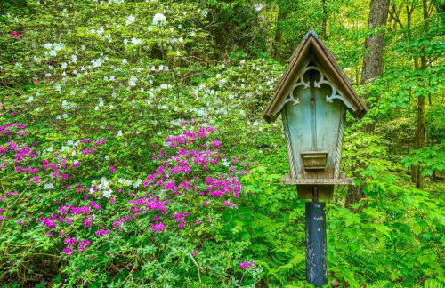 Mercer House - Foto 25