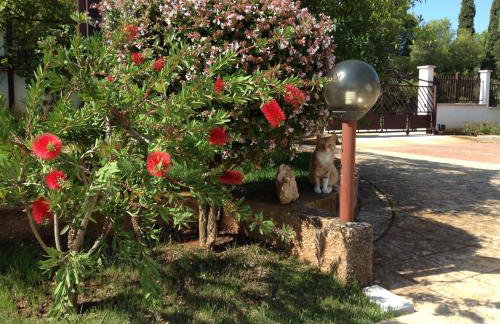 Casa Isabella - Foto 18