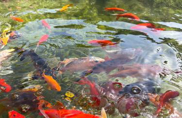 House of Sunset - Tranquility - View - Relaxation - Photo 71