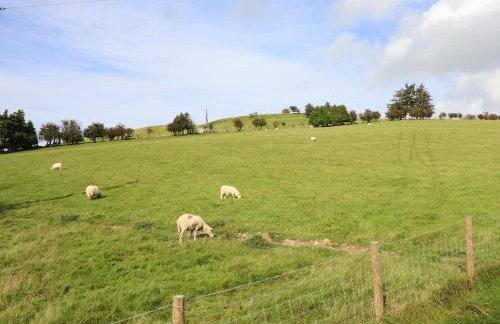 Mynydd Y Glyn Lodge - Foto 32