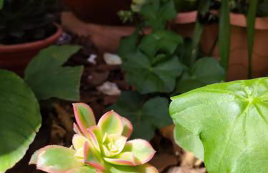 RECANTO RAVI - Foto 34