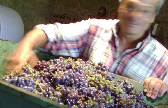 Le Roghete - Foto 28