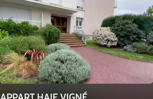 Le haie vigné - Foto 2