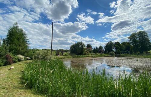 Ranczo nad Stawem - Foto 16