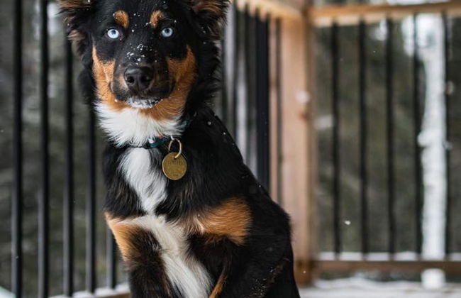 Le Grand Duc- SPA Sauna- Bord Rivi re Noire - Foto 3