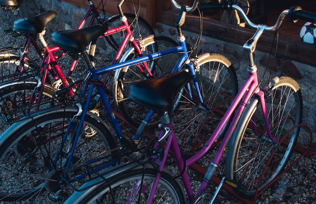 Agrousadba Mechta - Foto 7