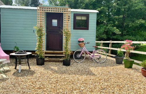 Little Bo Peep - Foto 4