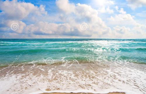 Torrevieja Playa Cura - Foto 9