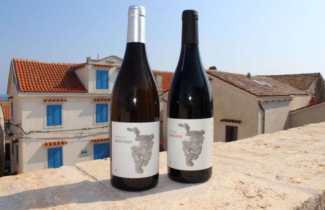 Sansego Suites - Foto 17