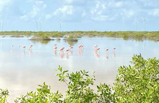 Entire House on the Seashore in Chicxulub Puerto, Yuc, Riviera Yucateca Mex - Photo 15