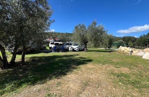 Il Bettarello - Foto 36