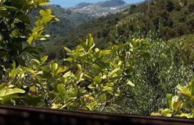 Agriturismo Osteria du Barba Pe' - Casa Miranda - Foto 22