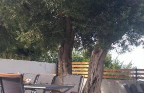 APARTMENT ELI - SEA VIEW - Foto 59