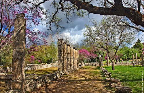 Villa Serenis - Photo 53