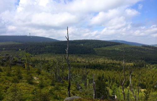 Erzgebirgsferien - Foto 19