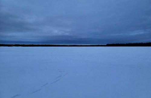 Lake Willow Lakefront House! Northwoods Retreat! - Foto 53