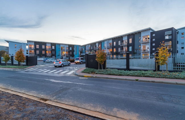 WINK Quiver Tree - Foto 58