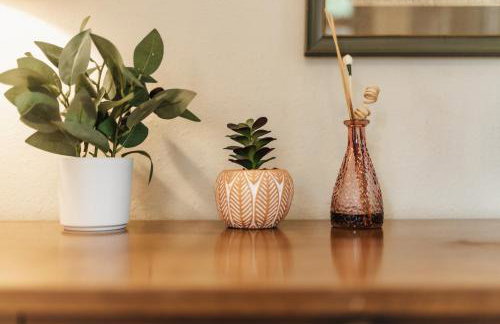 Historic Victorian Gem in UT Downtown Free Parking - Foto 3