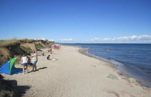 Seemöwe 1 - Foto 18