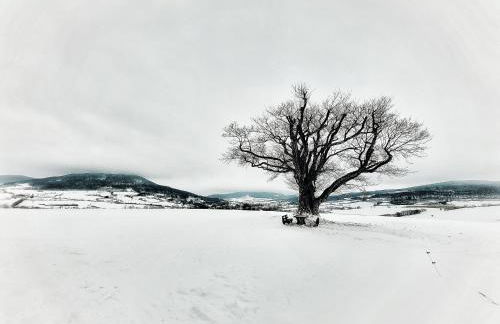 Habelberg Apartments - Foto 29