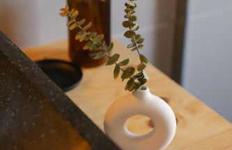 SÃONE Guesthouse - Foto 11