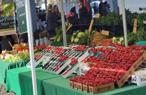 Central Spot - 4 Min to Waterpark, Dining & Shops - Foto 12