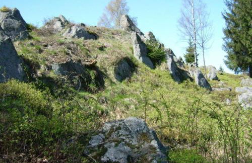 Apartment in Tannesberg Near Goldsteig Trail - Foto 74