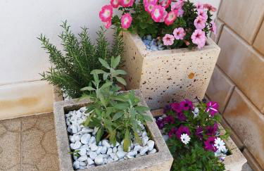 Casa vacanze Il sorriso di Emi - Foto 4