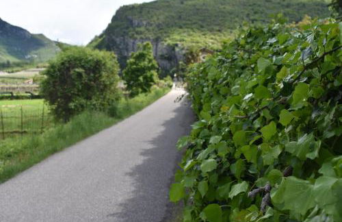 La Masera Holiday - Vigneto - Foto 35