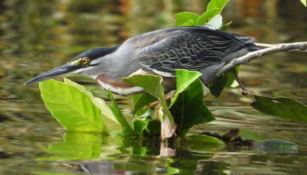 Immerse yourself in nature