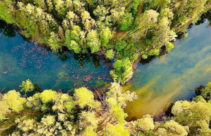 Dobrostan Domek w Naturze - Foto 16