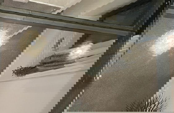 Dealhouse F7- Apartments - Foto 10