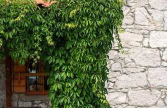 Villa Millefoglie, a century-old stone house nestled in a nature park - Foto 47