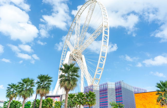 FAM Living - Bluewaters Island - Ain Dubai - Photo 26