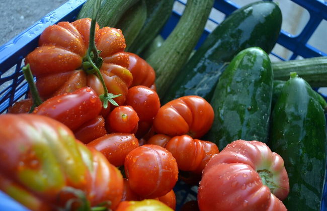 Agriturismo Selvapiana - Foto 39