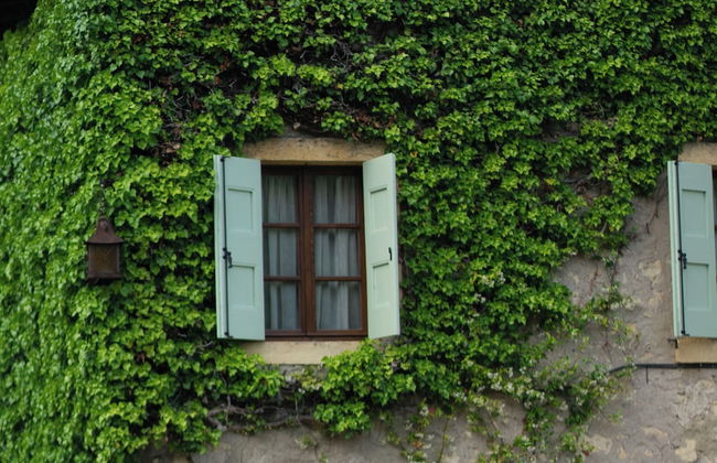 La Magioca - Photo 62