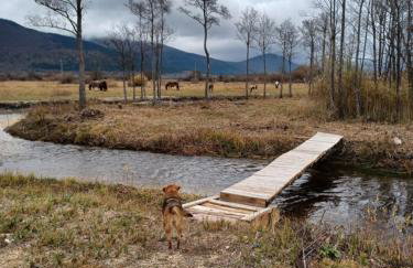 Mountain Dream - Foto 15