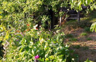 Horizontes Serranos - Foto 51