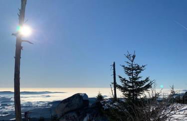 Große Ferienwohnung Hundertwasser am Dreisessel in Altreichenau - Foto 52