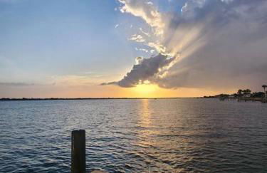 The Starfish - Foto 1