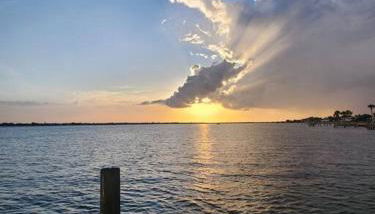 The Starfish - Foto 1