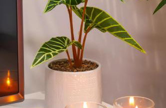 Batalha - Ferreiras Apartment - Foto 7