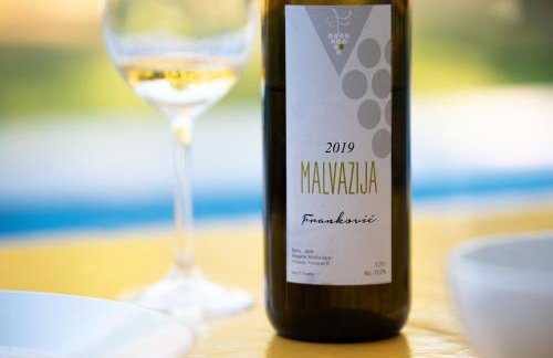 Villa Stepančić - large garden and heated pool - Foto 67