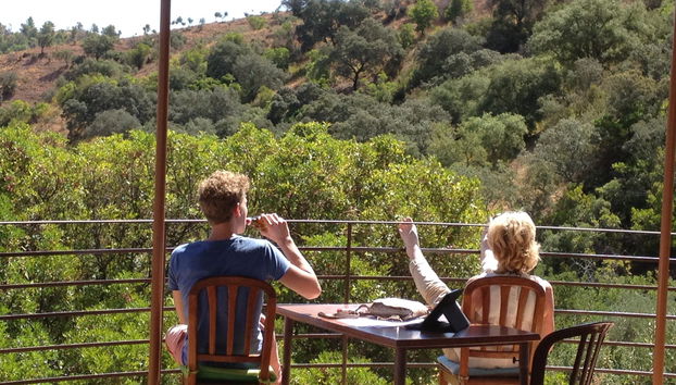 Herdade Da Corte - Foto 4