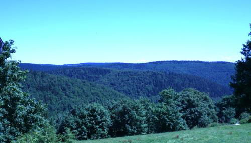 Haus Bergblick - Foto 4