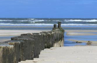 Ferienwohnung Bunte Kuh Wangerooge - Foto 29